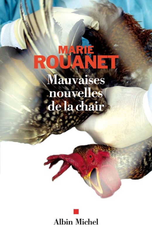 Couverture du livre Mauvaises nouvelles de la chair