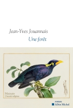 Couverture de Une forêt